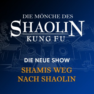 _wpframe_custom/gallery/files/wpf_sitemanager/t_shaolin_26_shamis_weg_blau-sc_highl_art_squarejpg_1758869679.jpg